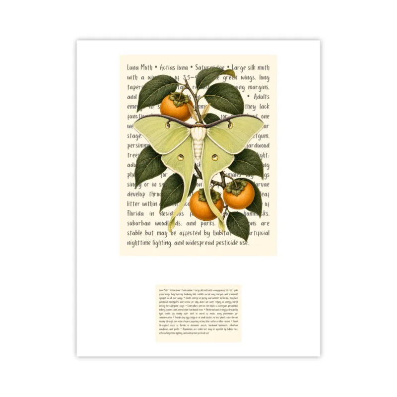 Luna Moth Signature Proof
