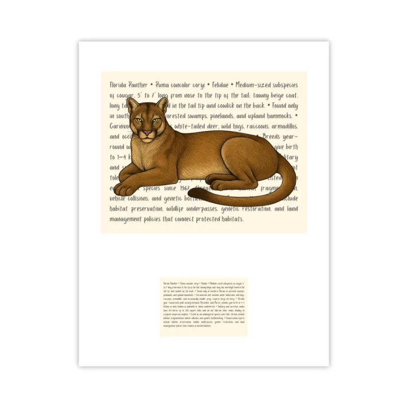 Florida Panther Live Wildly Signature Proof