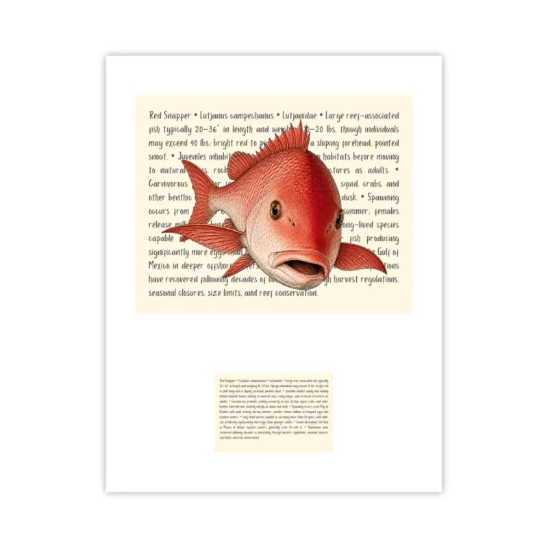 Red Snapper Signature Proof