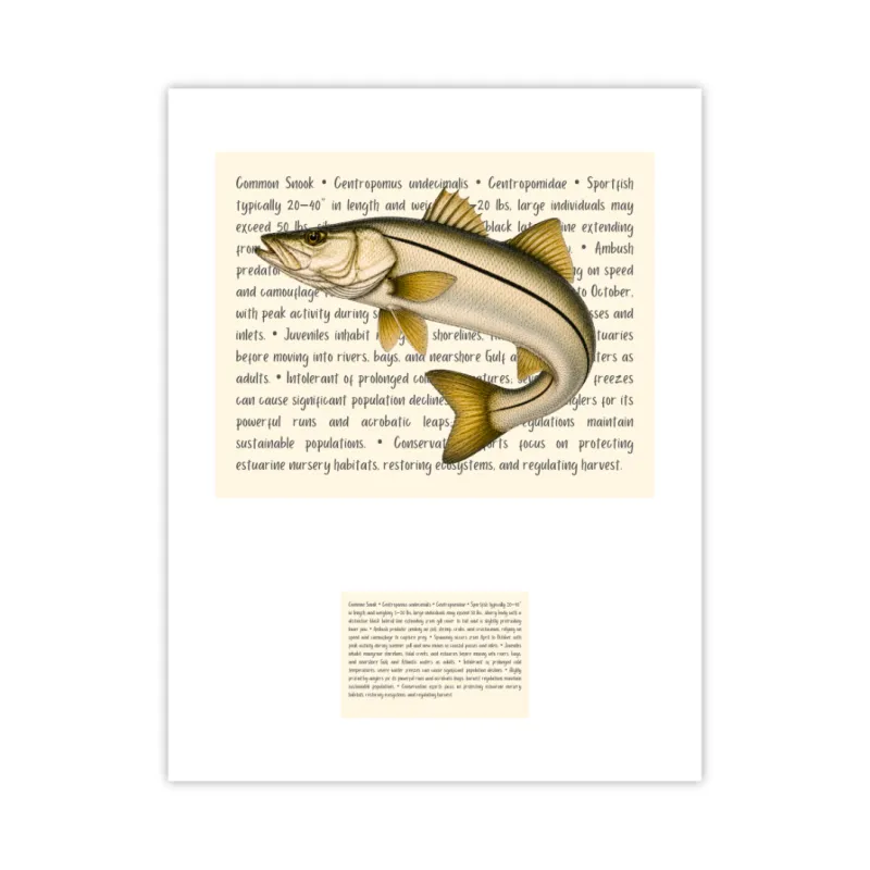 Common Snook Signature Proof