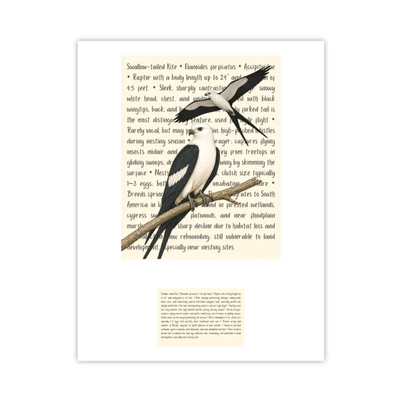 Swallow-tailed Kites Signature Proof