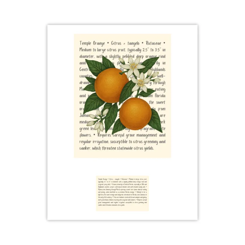 Temple Orange Signature Proof