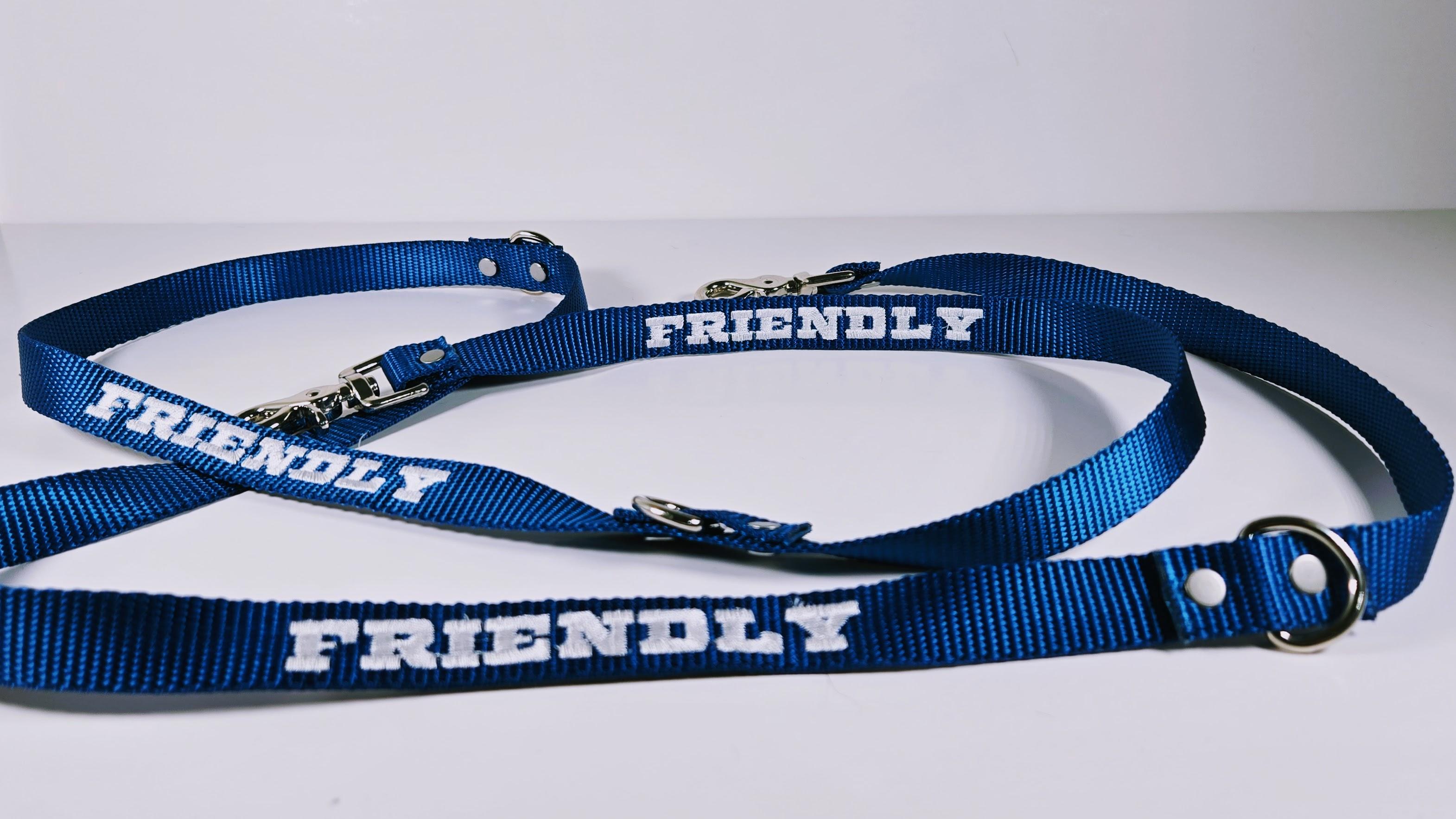 Custom Embroidered 6 ft Leash