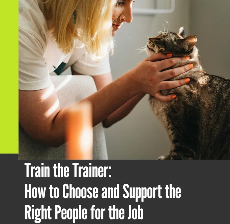 Train the Trainer: How to Choose and Support the Right People for the Job