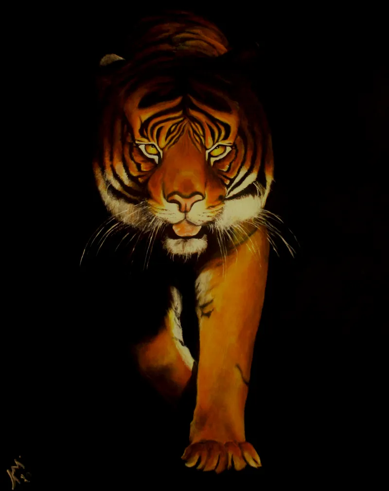 Tiger. Tiger! Prints