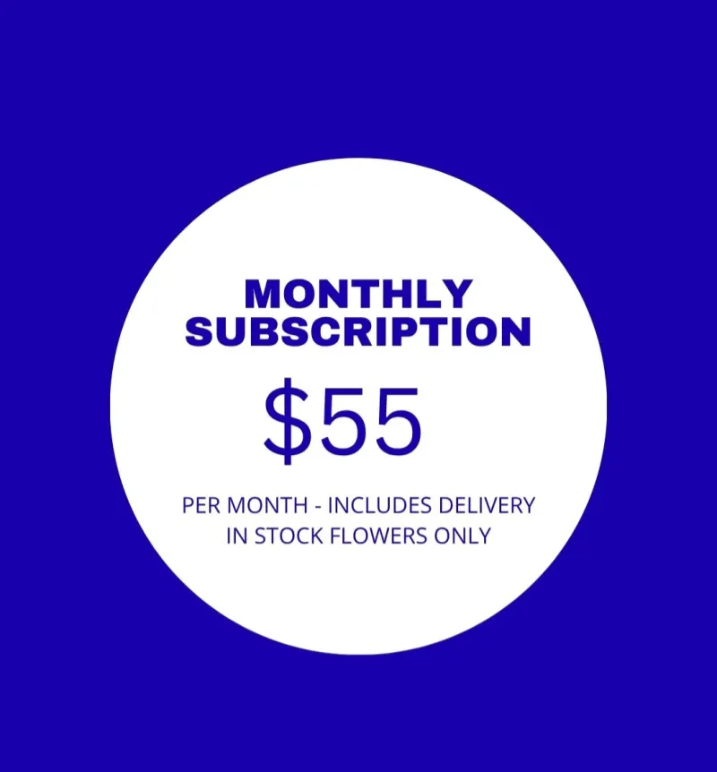 $55 Monthly Subscription