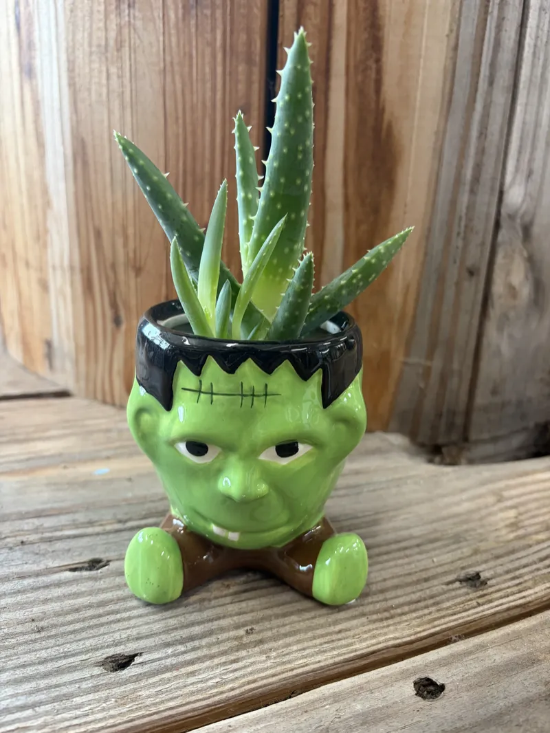 Frankenstein Succulent Halloween Planter