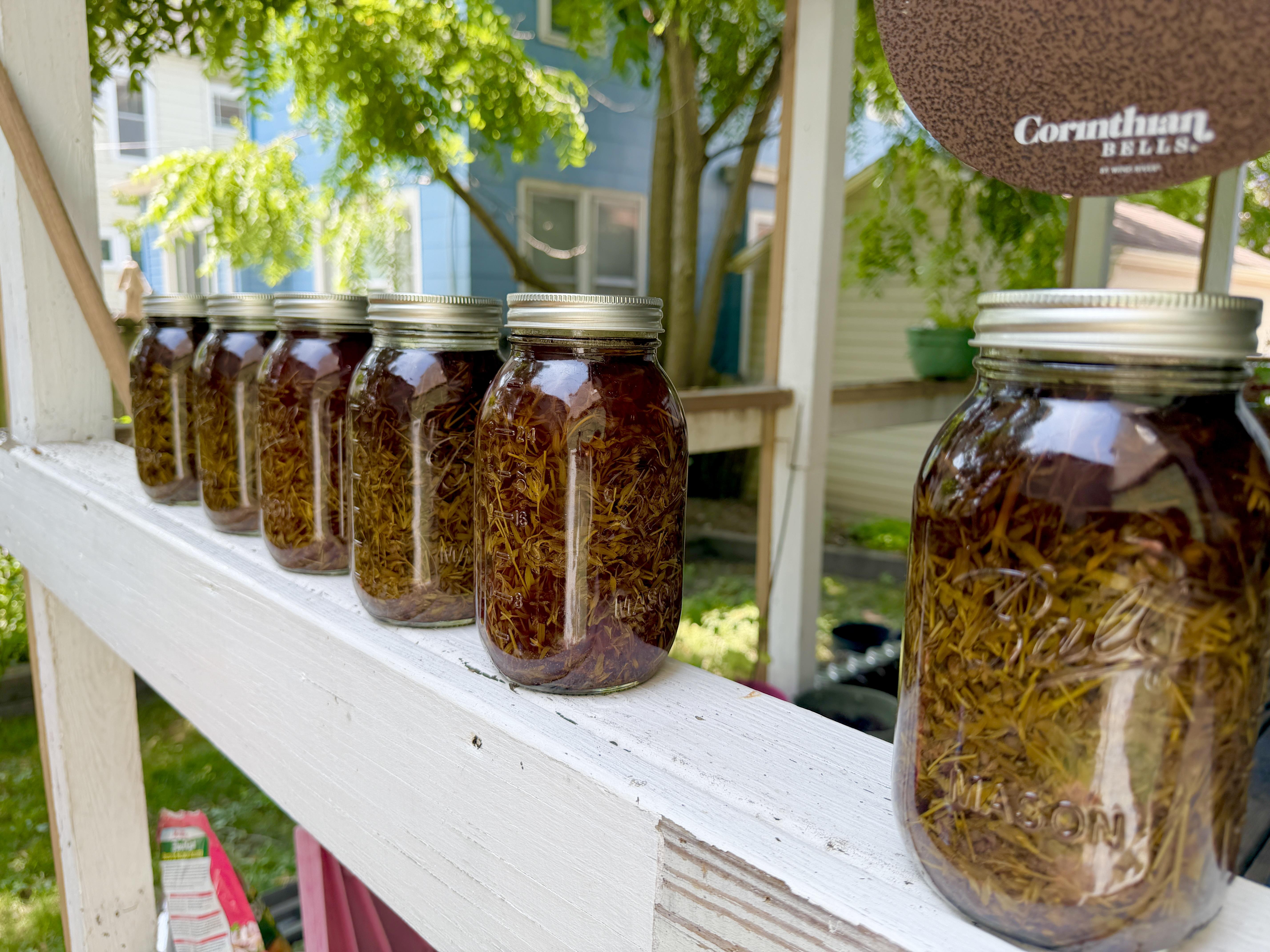 FRESH Flower Infusion of St. John's Wort