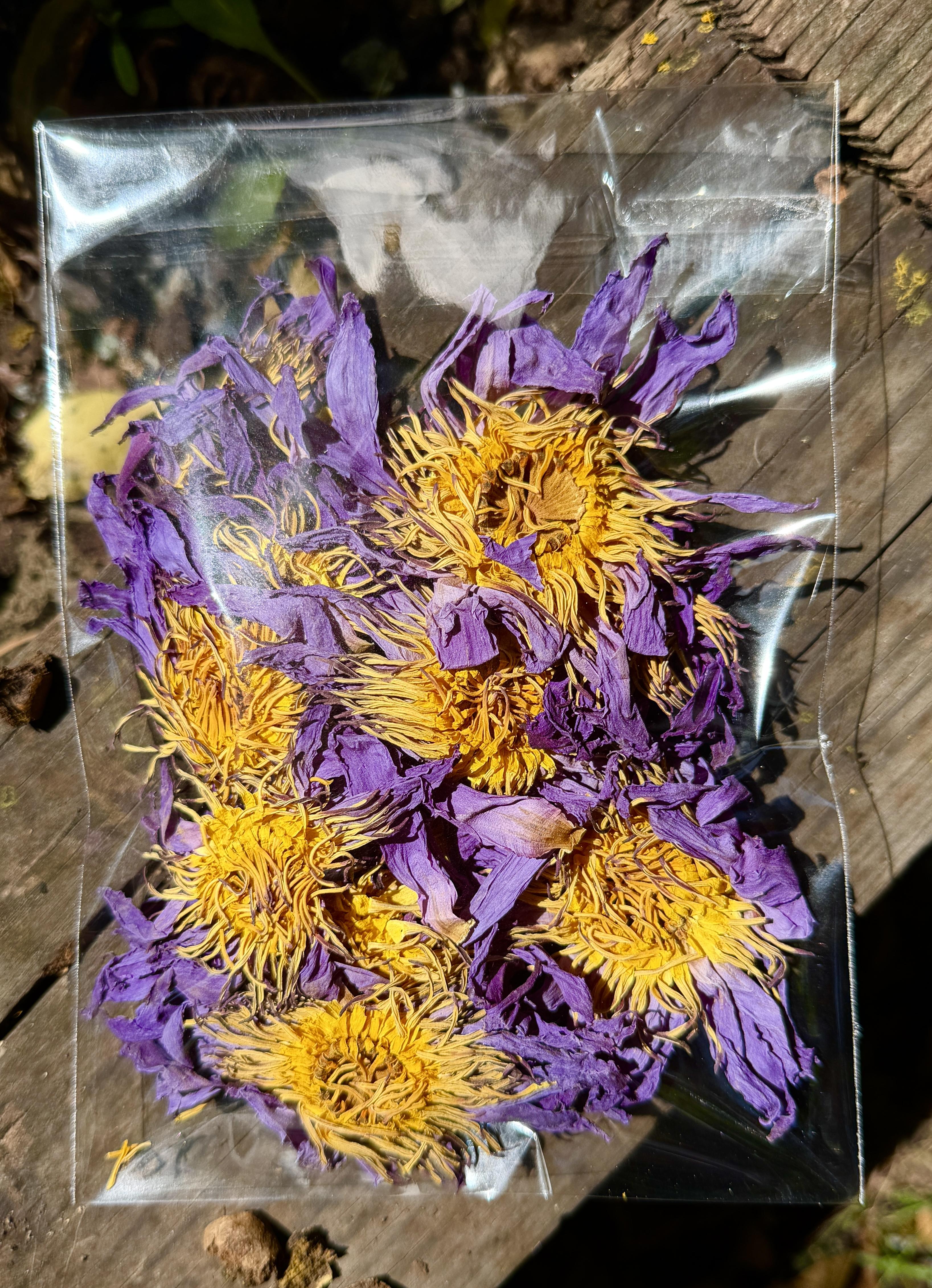 Organic Blue Lotus flowers for Tea or Infusing