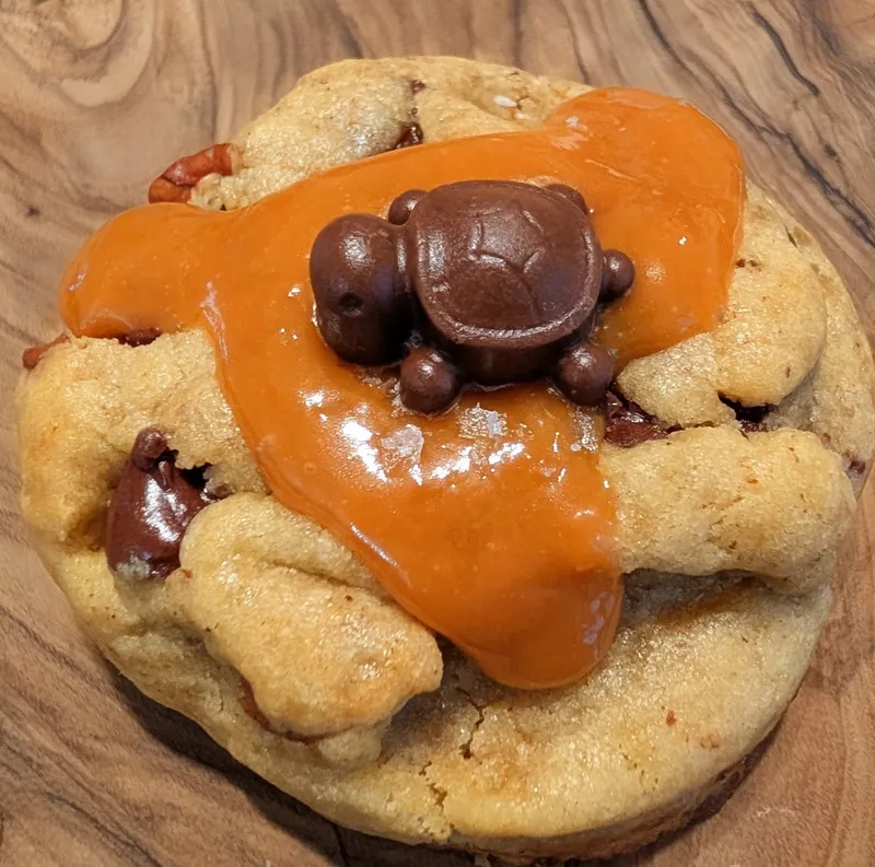 Turtle Cookie