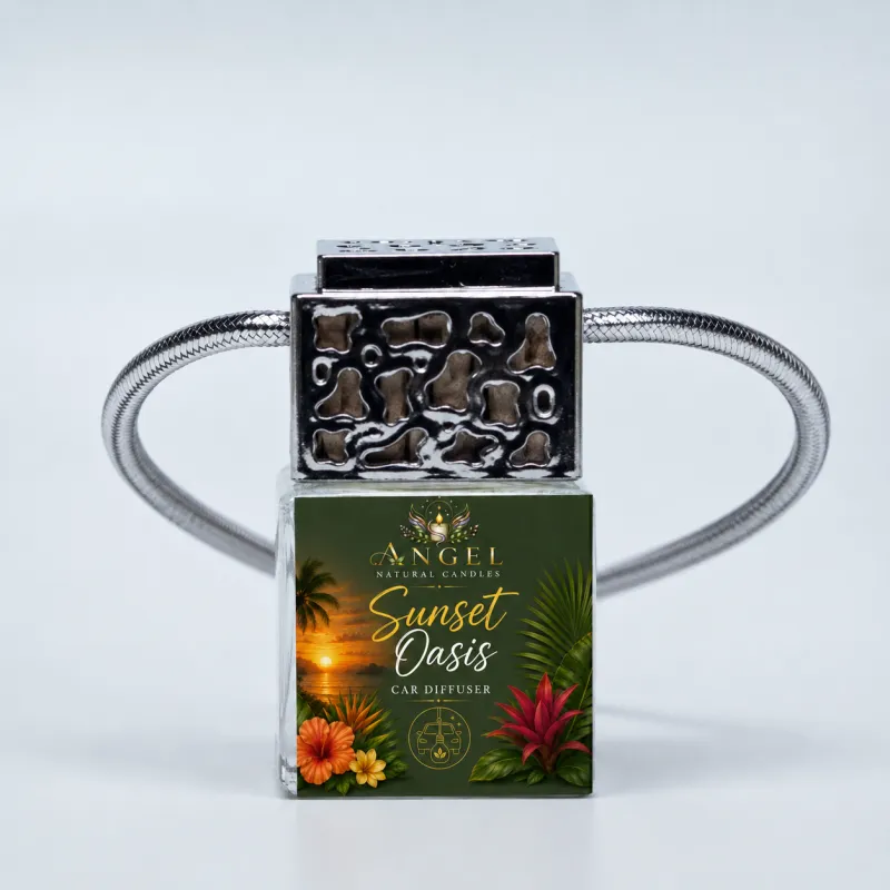 Car Diffuser Top Silver | Luxury Tropical Car Air Freshener