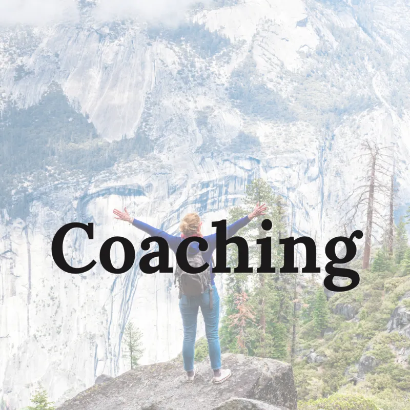 Monthly CEO FLOW Coaching