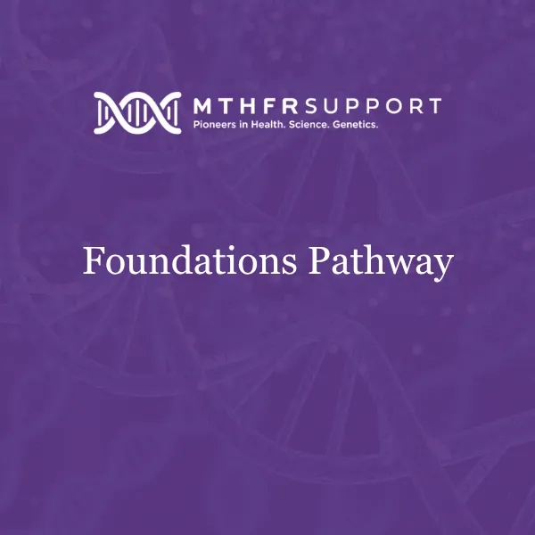 [FGIS] Foundations Pathways