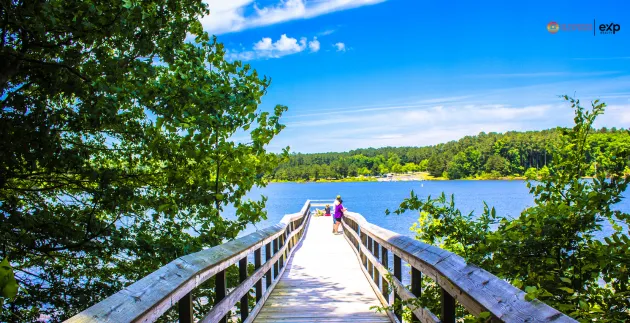 Wake Forest NC neighborhoods and homes