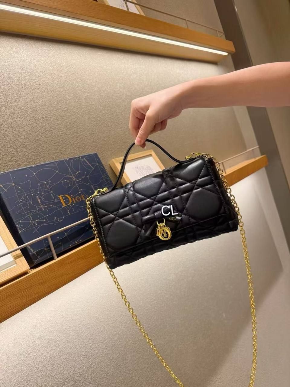 Dior Inspired Luxury Quilted Crossbody Bag – Ultimate Evening & Daylight Glamour | D-E19