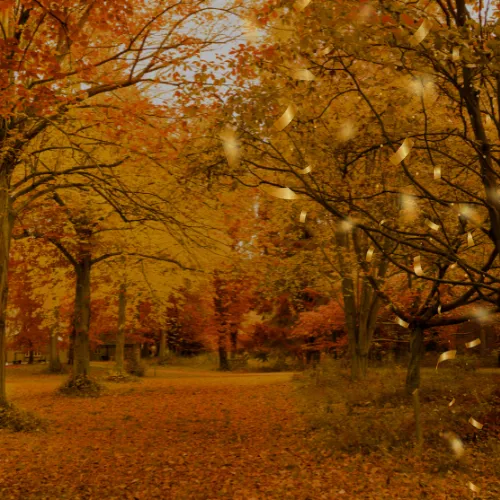 Fall Into Flow Reset