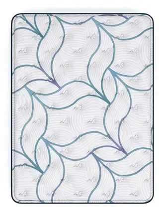 Limited Edition Plush 3.0 Queen Mattress