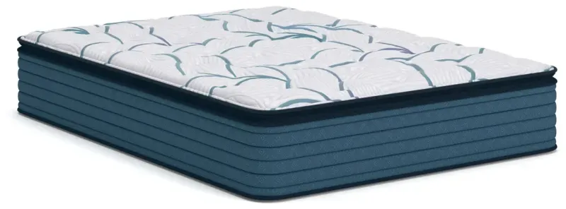 Limited Edition Plush PT 3.0 King Mattress