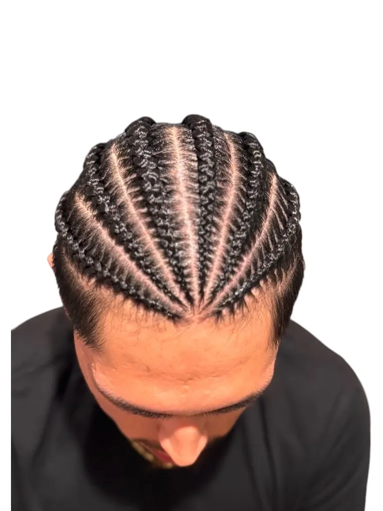 House of Braids hairstyle 1