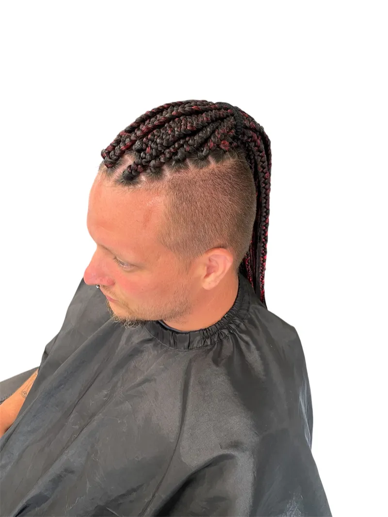 House of Braids hairstyle 4