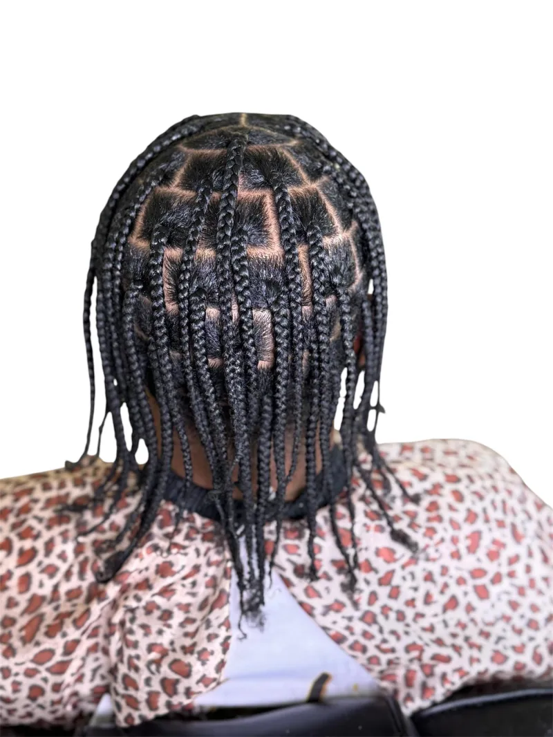Medium braids, full head