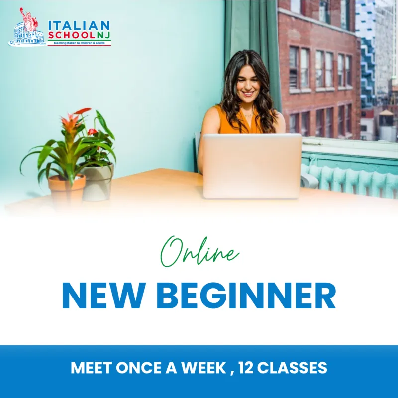 Online — New Beginner (Adult)