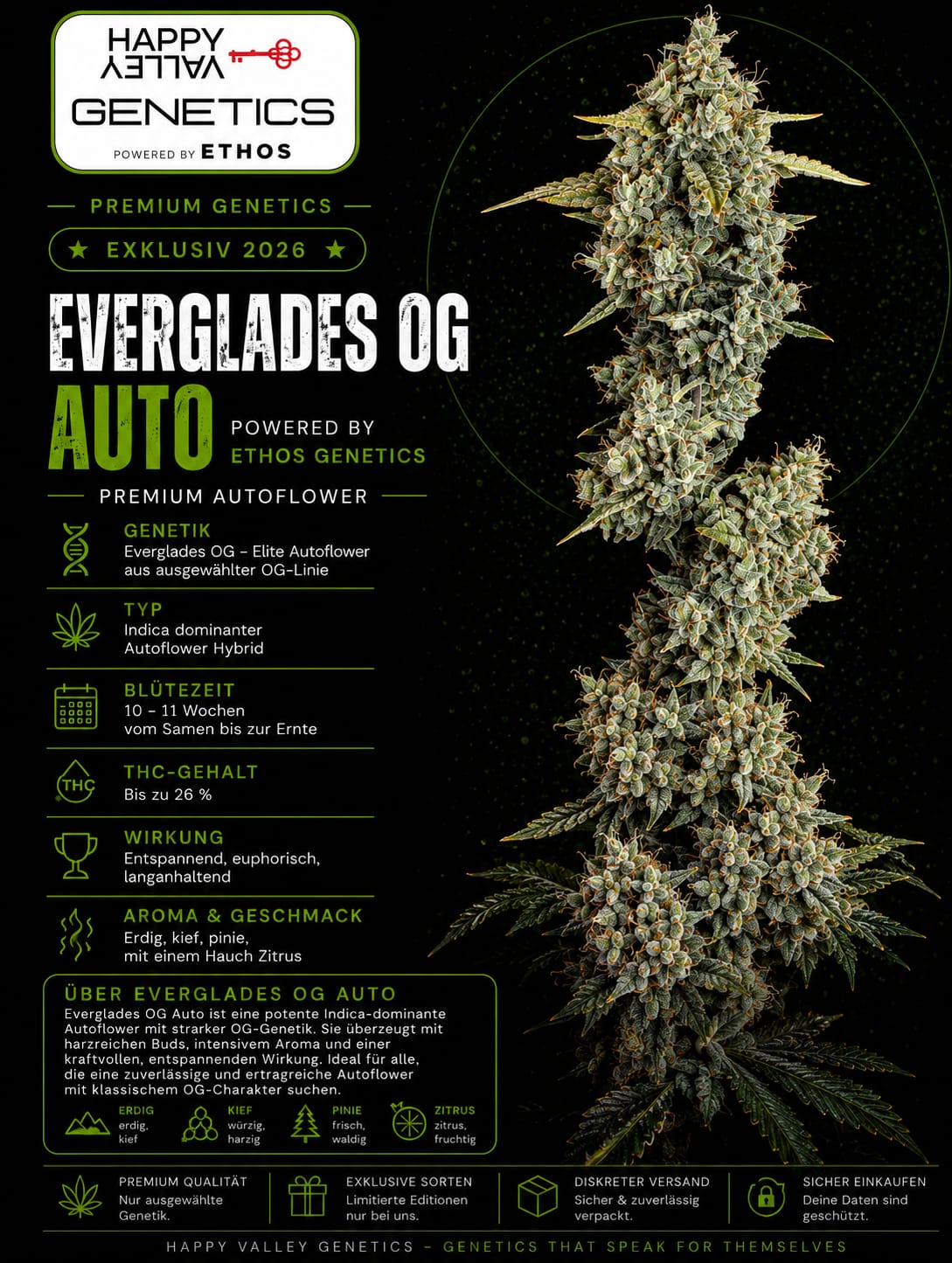 Everglades OG Auto