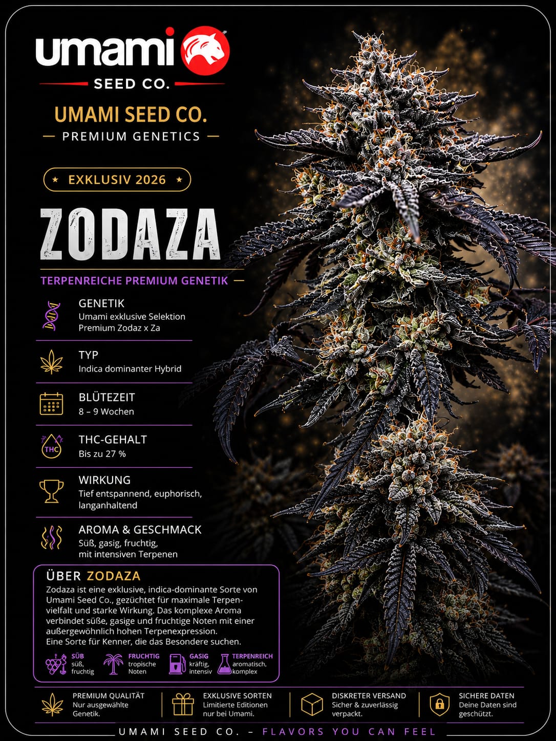 Zodaza