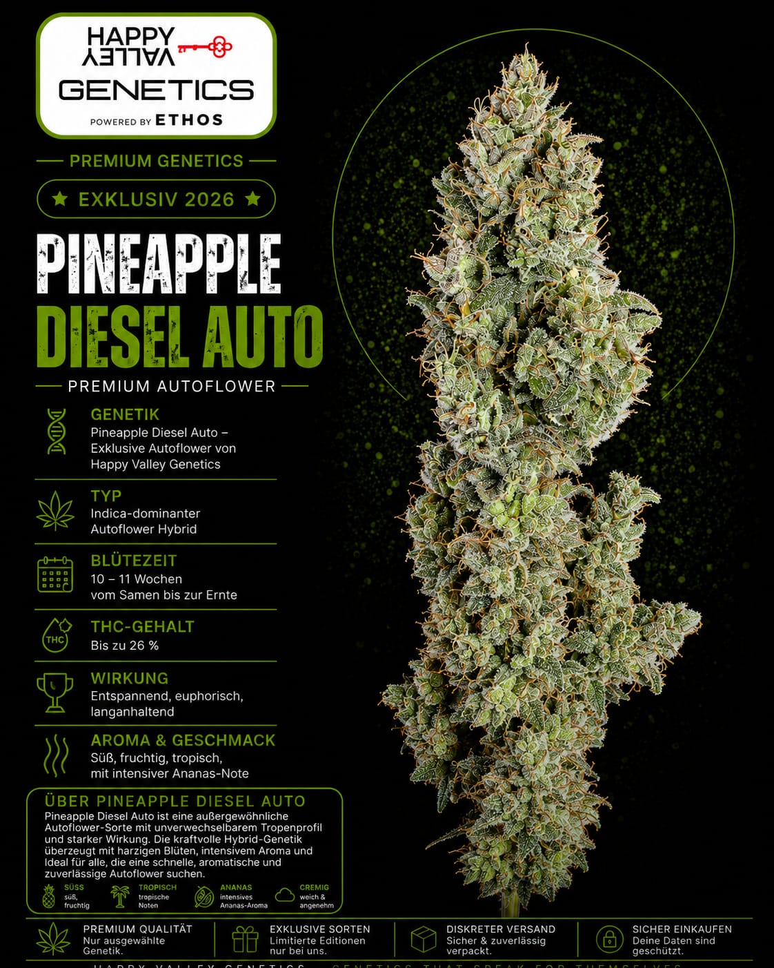 Pineapple Diesel Auto