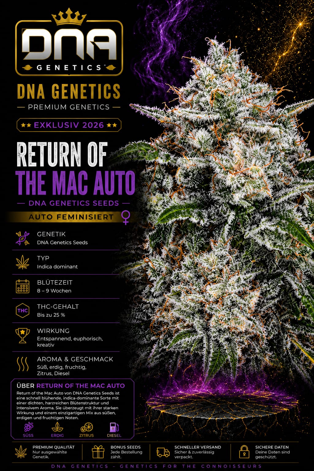 Return of the Mac Auto