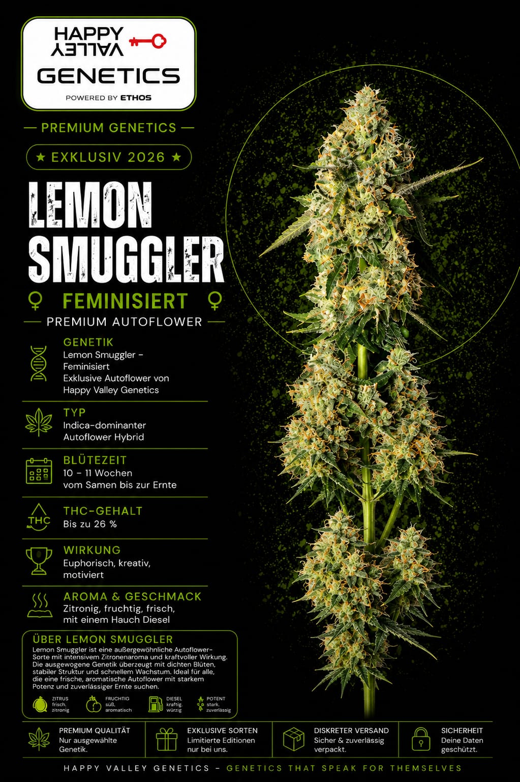 Lemon Smuggler