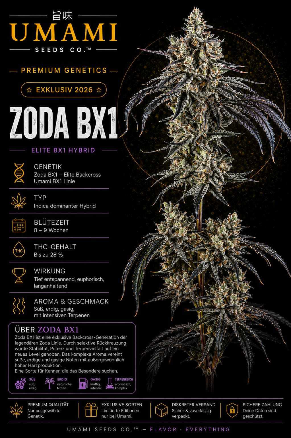Zoda BX1