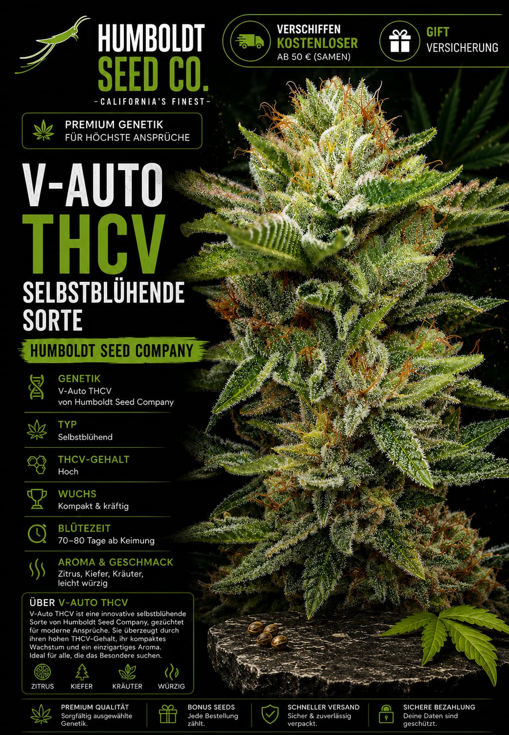V-Auto THCV