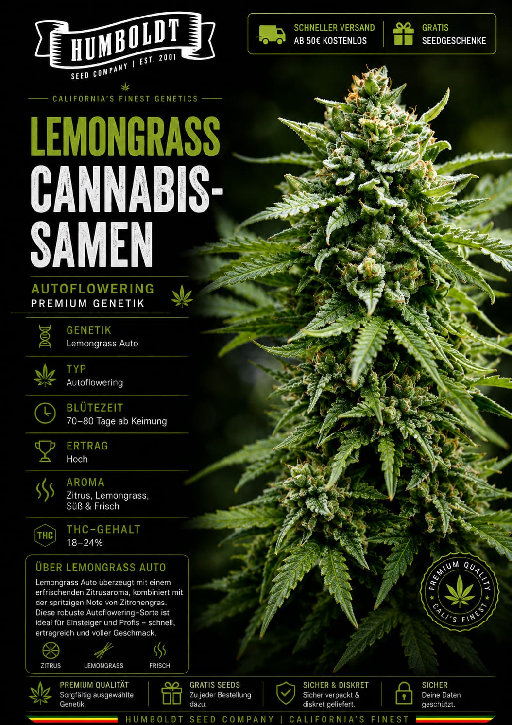 Lemongrass Auto