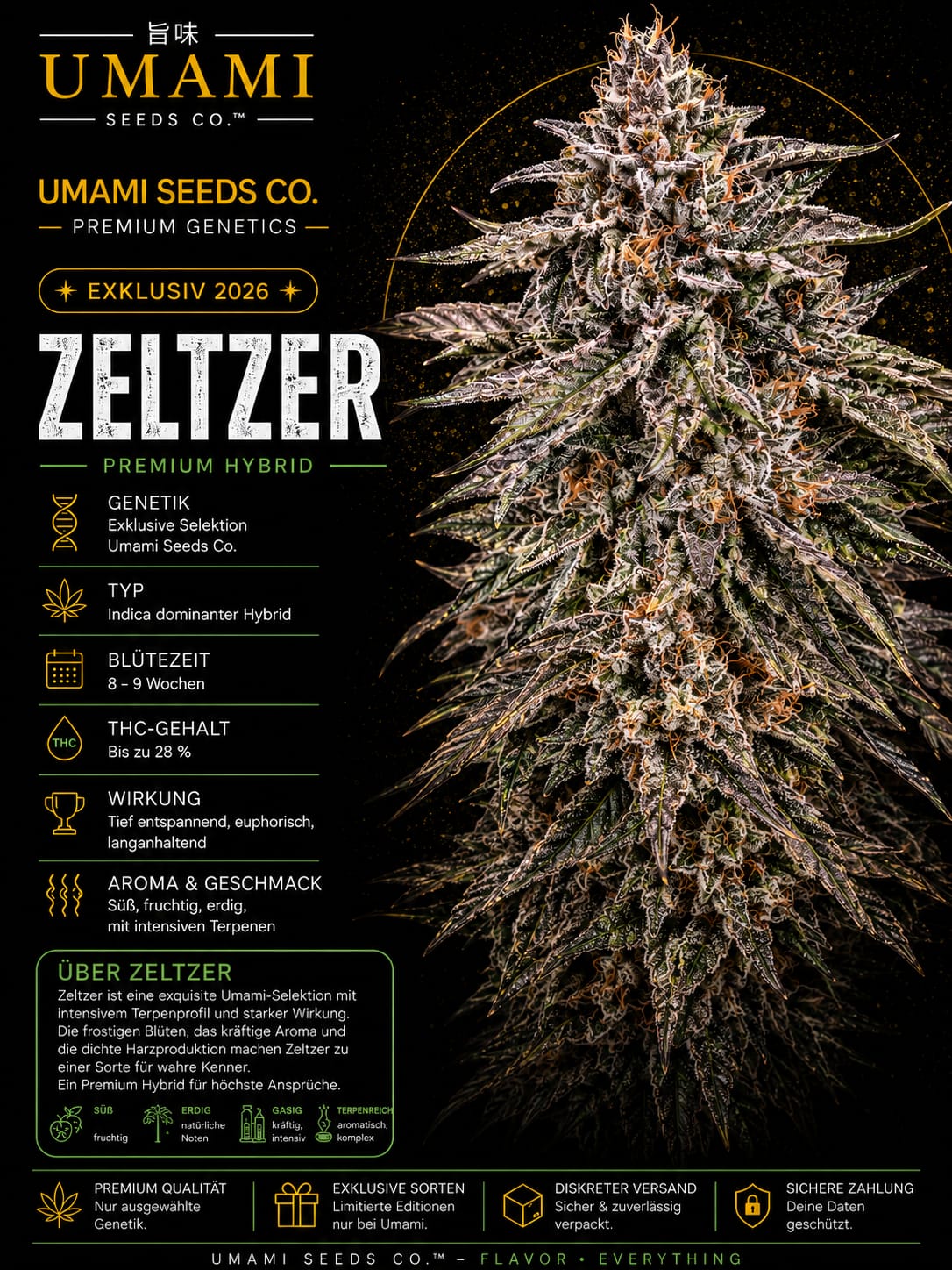Zeltzer