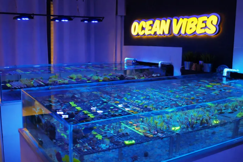 LED Backlit Wall Sign - Custom 3D Printed Dimensional Letters