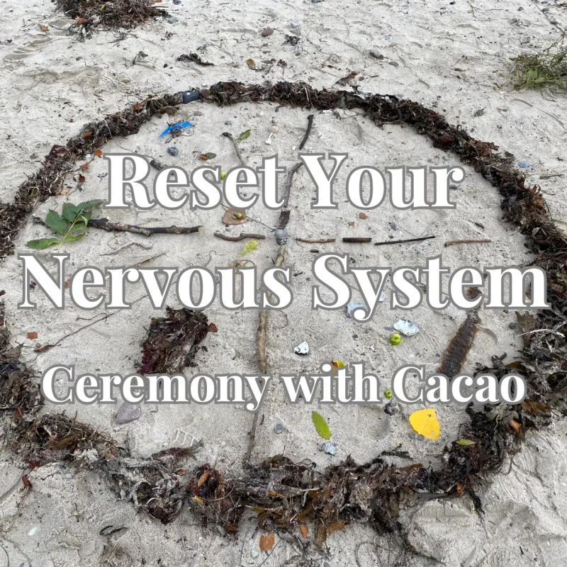 Reset Your Nervous System - Ceremony With Cacao