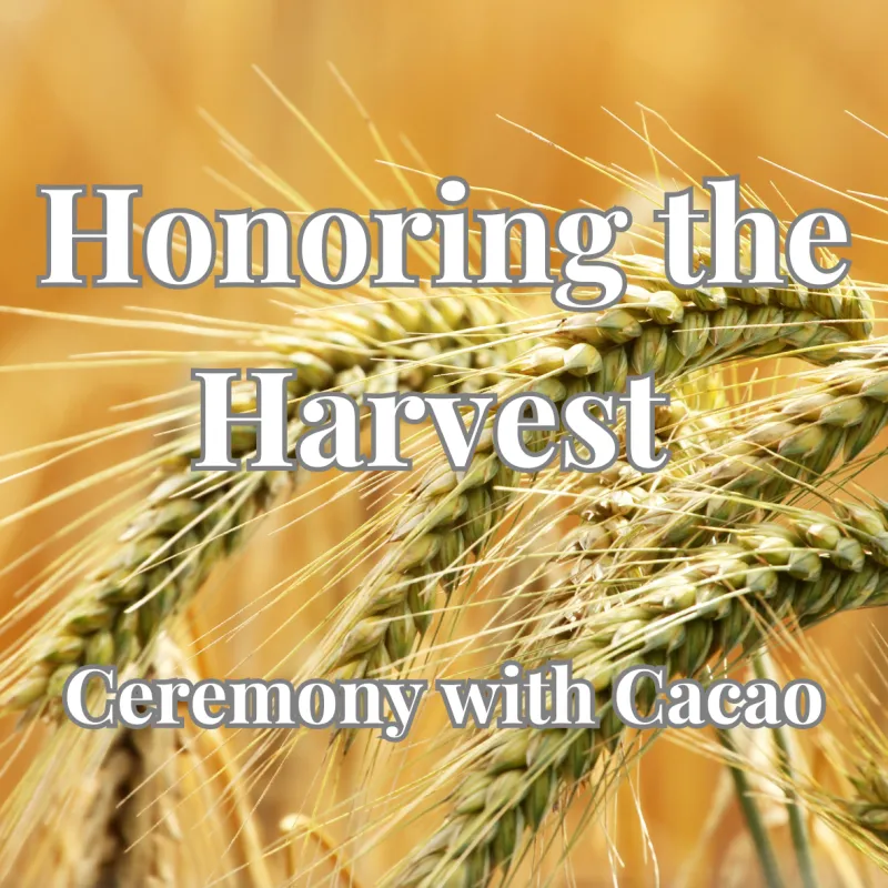Honoring the Harvest - Ceremony With Cacao