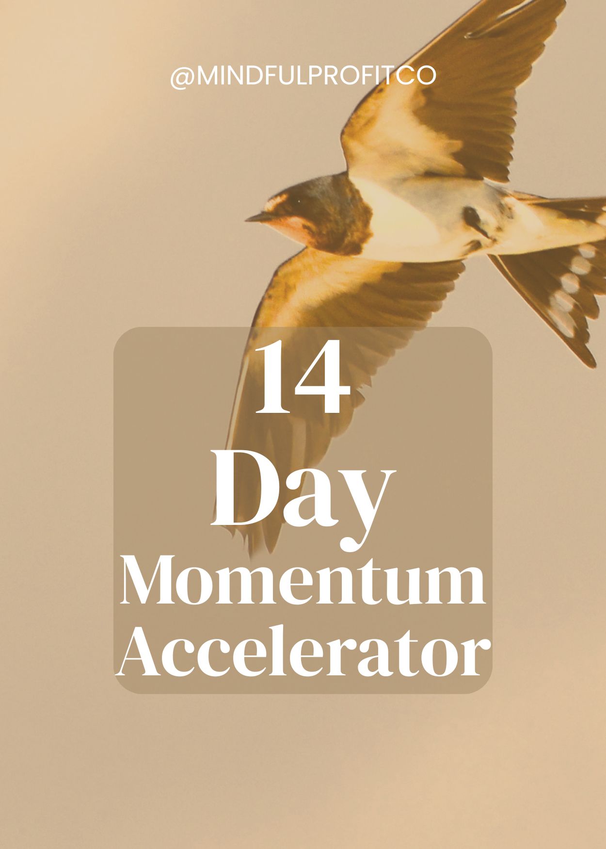 The 14 Day QUIET Income Momentum Accelorator