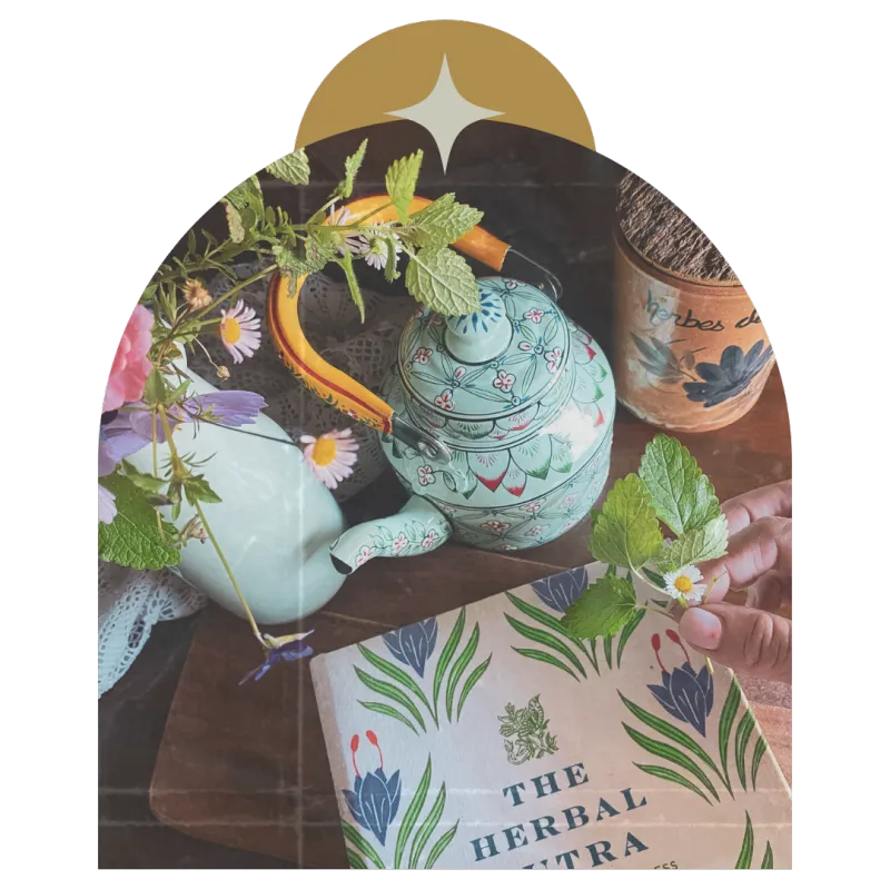 Herbal Allies