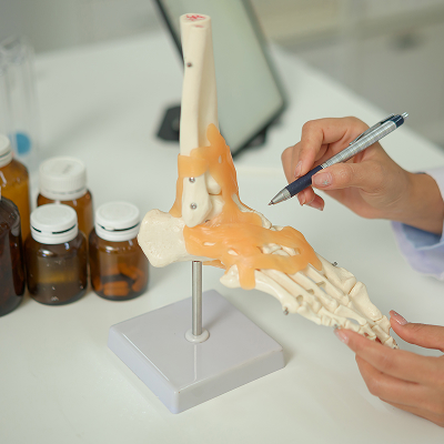 Joint, Bone & Inflammation