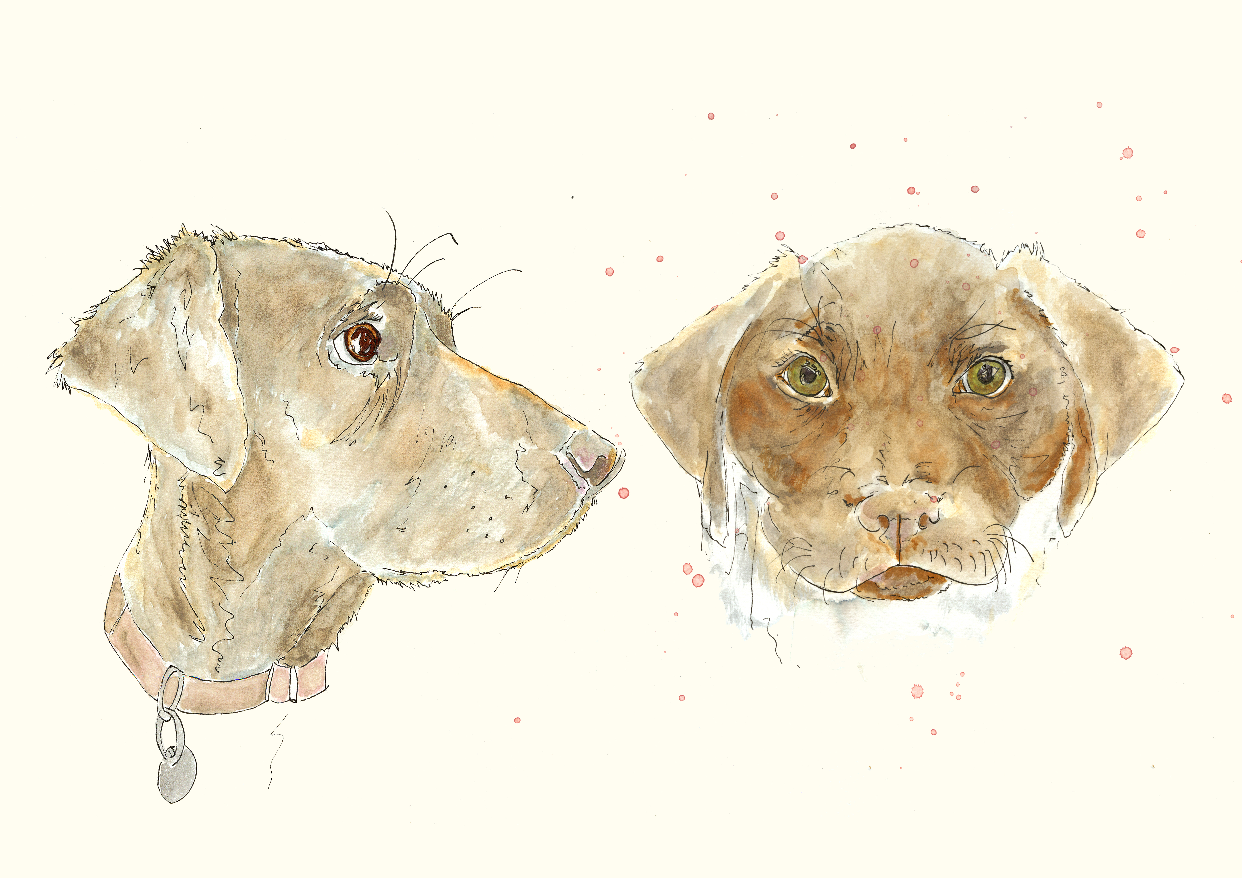 Then and Now Pawtrait - Signature