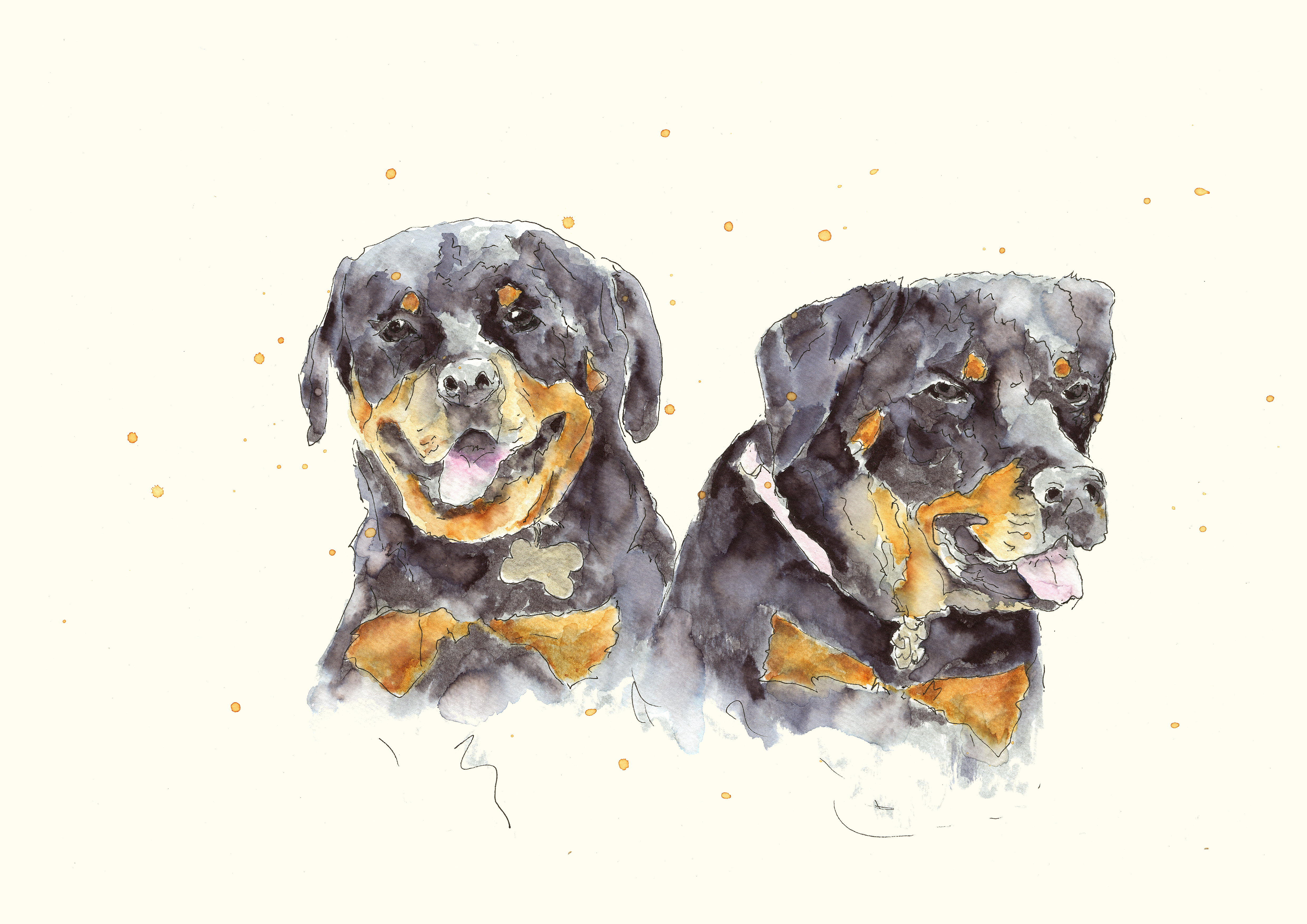 Duo Pawtrait - Signature 