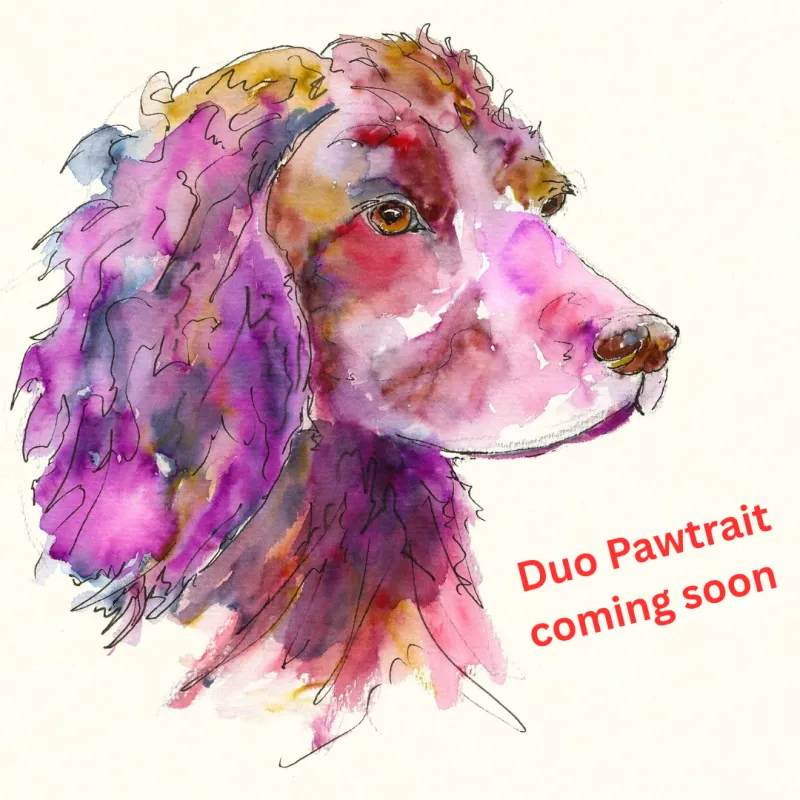  Duo Pawtrait - Expressive 