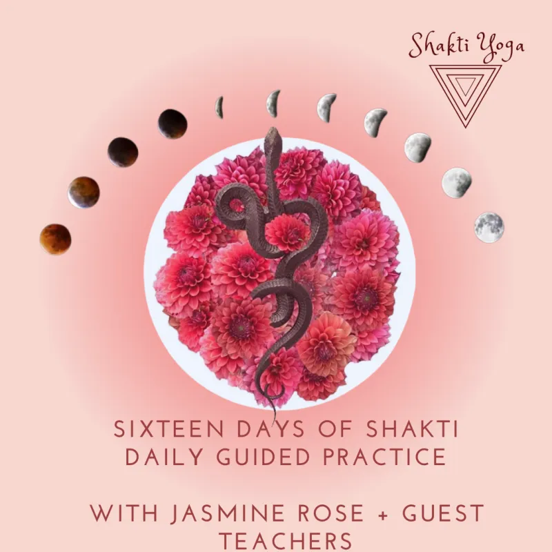 Sixteen Days of Shakti - begins 13th August