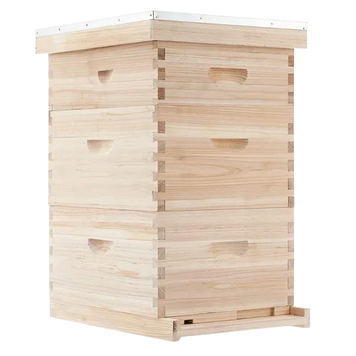 Hive Equipment