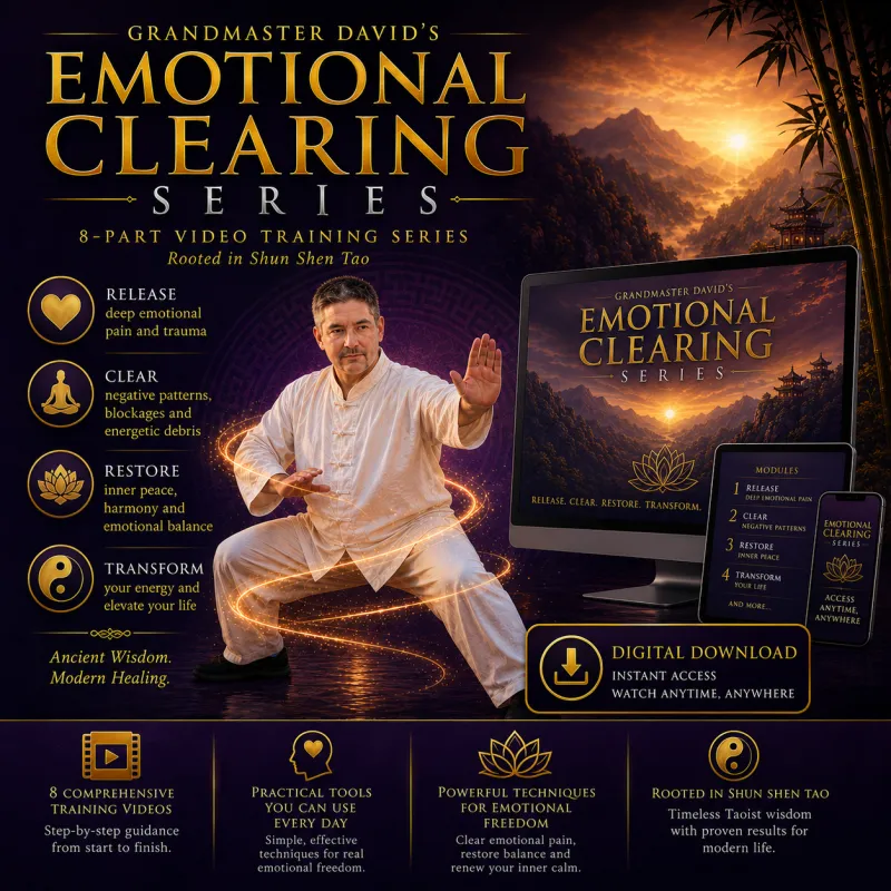 Shun Shen Tao Emotional Clearing Classes | Grandmaster David