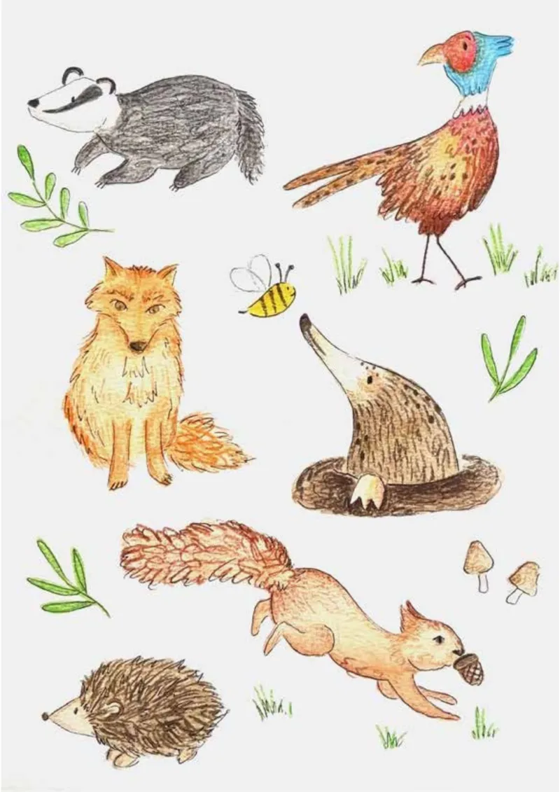 Animals In The Cotswolds Print A5