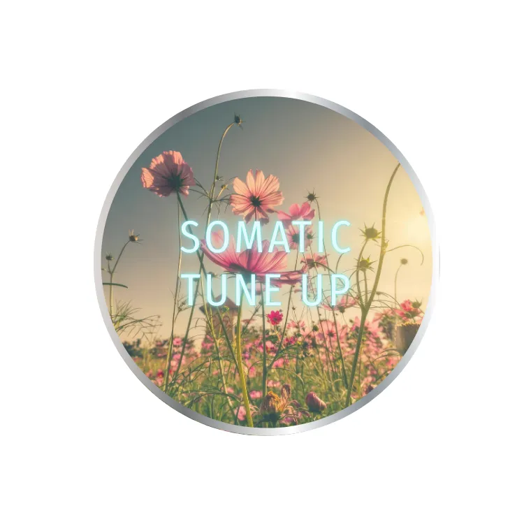 SOMATIC TUNE UP