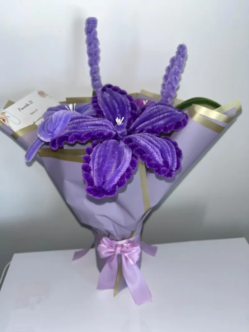 Argaman Elegance